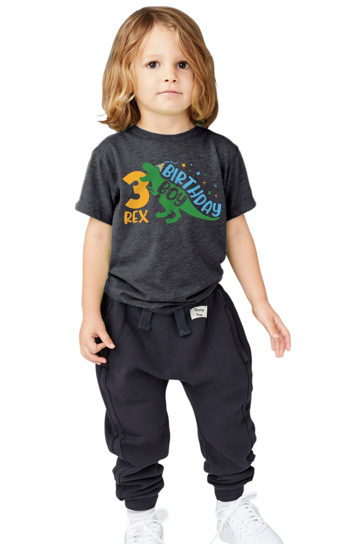 Birthday Trex Dinosaour Birthday Shirt